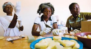 SHEA BUTTER TRAINING AND BUSINESS PLAN IN NIGERIA