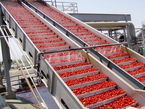 Tomato processing in Nigeria