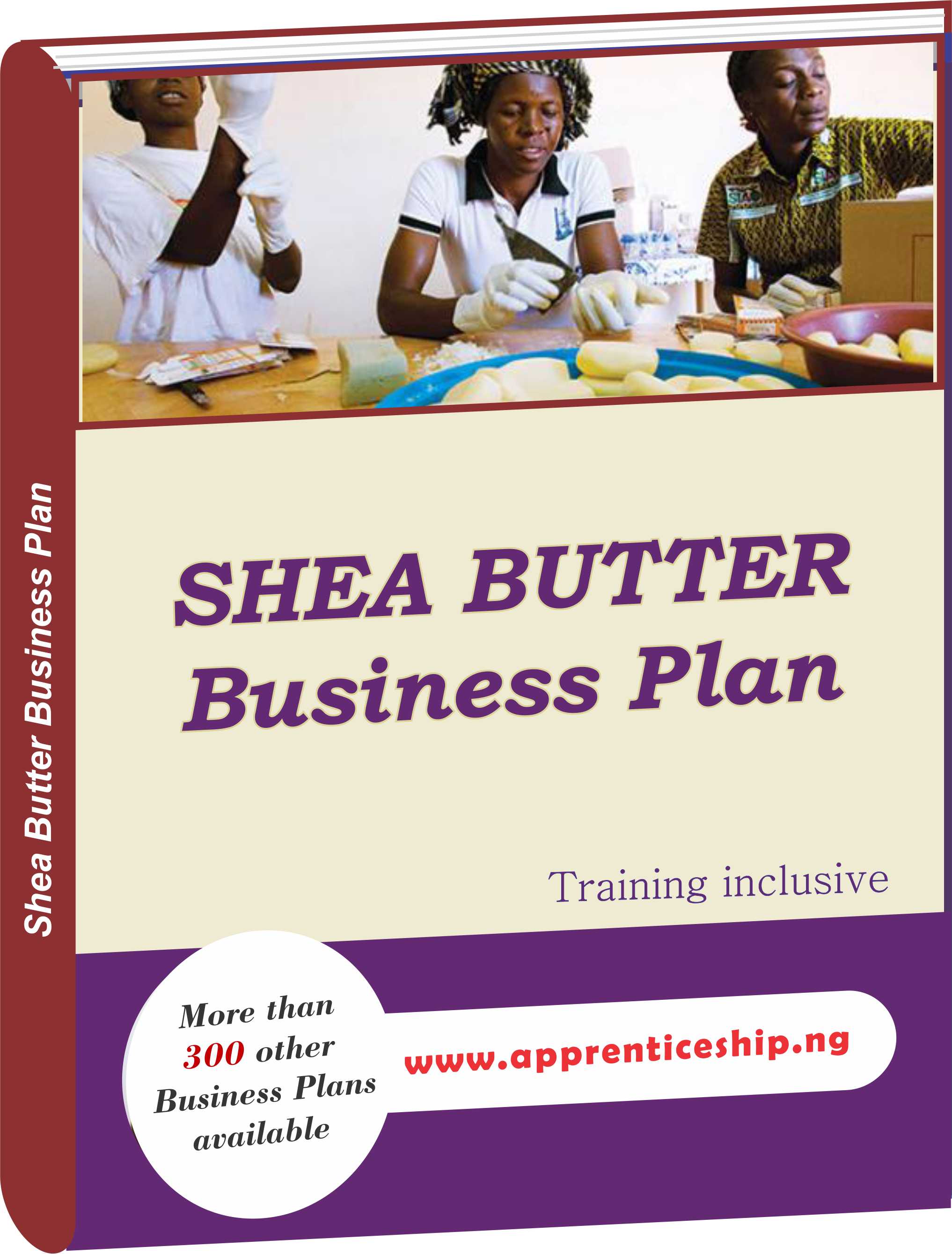 Shea Butter Training and Business Plan in Nigeria Apprenticeship