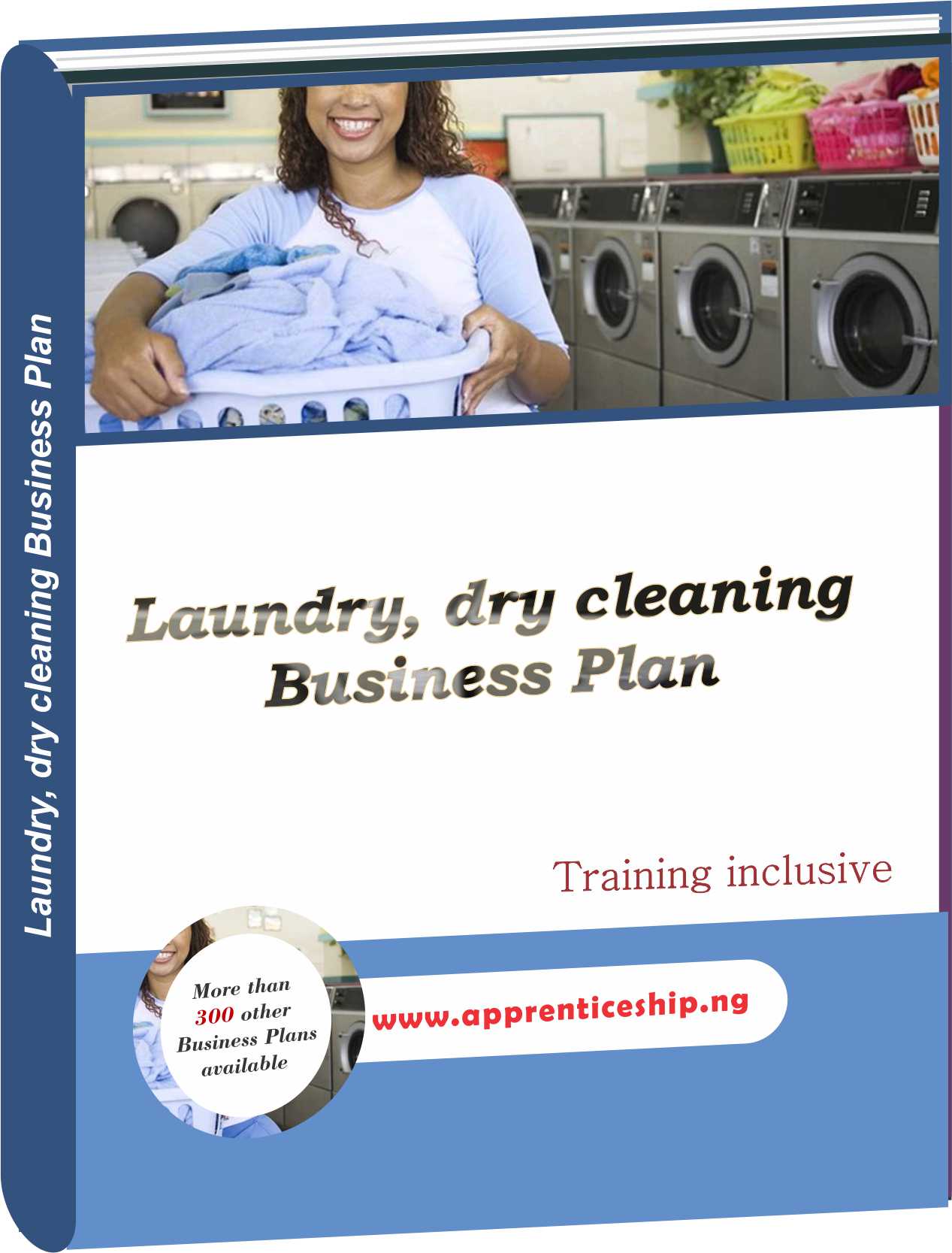 business plan for laundry services in nigeria