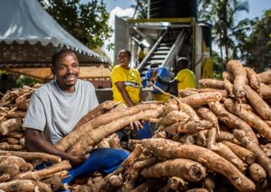 CASSAVA PROCESSING BUSINESS PLAN IN NIGERIA