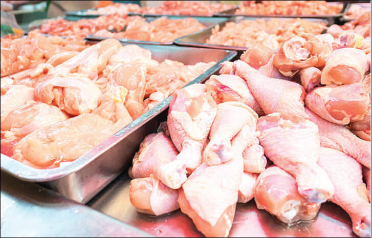 frozen chicken business plan in nigeria