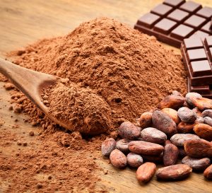 COCOA FARMING AND PROCESSING BUSINESS PLAN IN NIGERIA