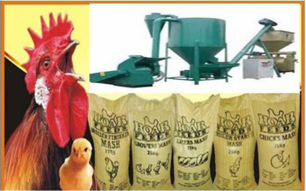 FEED MILL BUSINESS PLAN