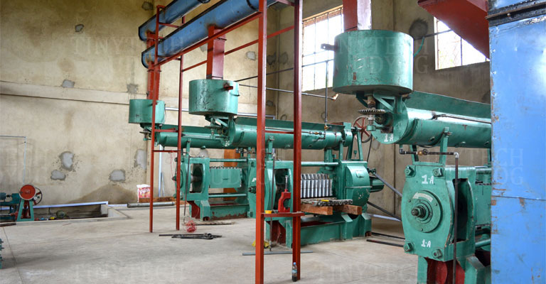 PALM KERNEL OIL (PKO) EXTRACTION BUSINESS PLAN