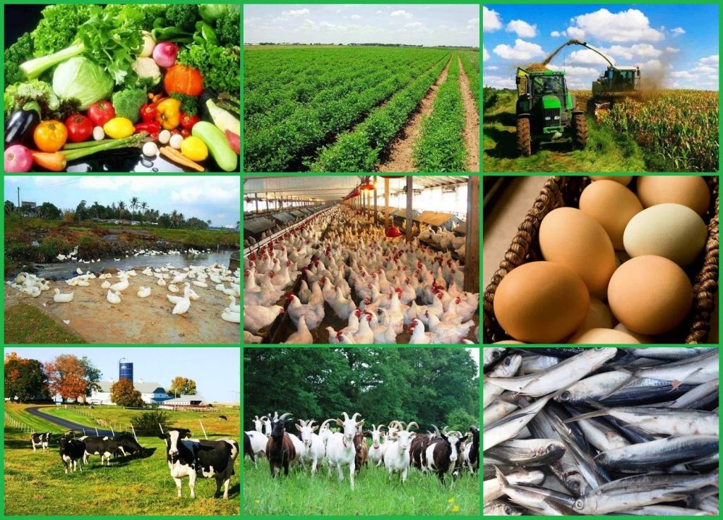 INTEGRATED AGRIBUSINESS PLAN IN NIGERIA,