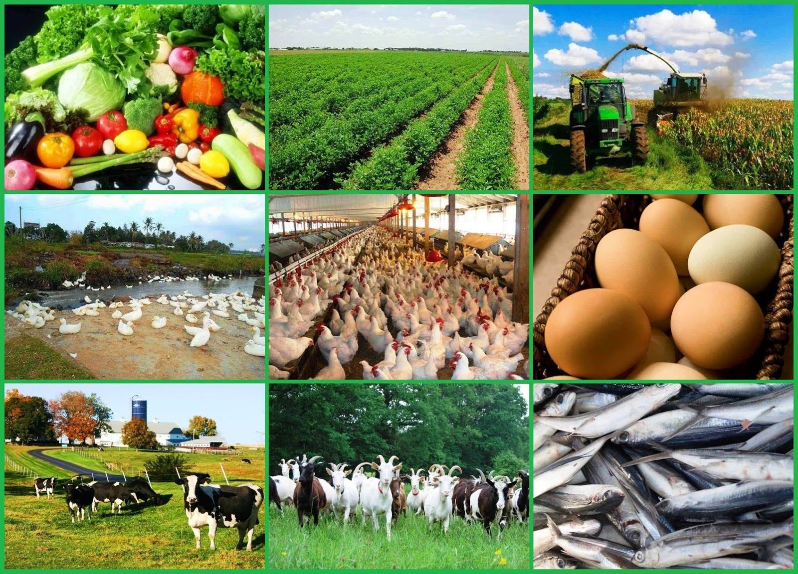 agriculture business plan in nigeria